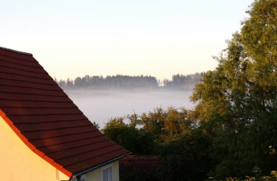 morning_mist_20160624.jpg