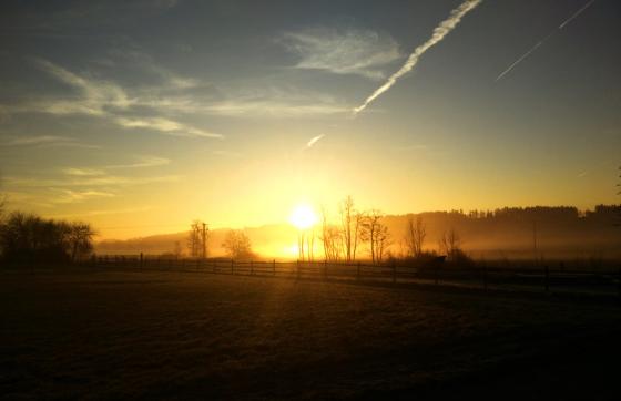nikolausmorgen_20151206.jpg