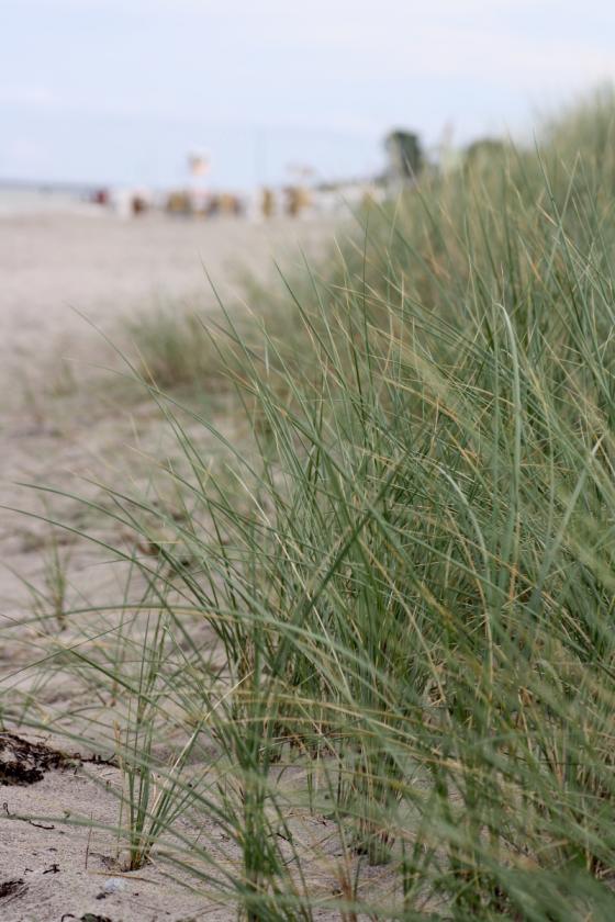ostsee2014_duene.jpg