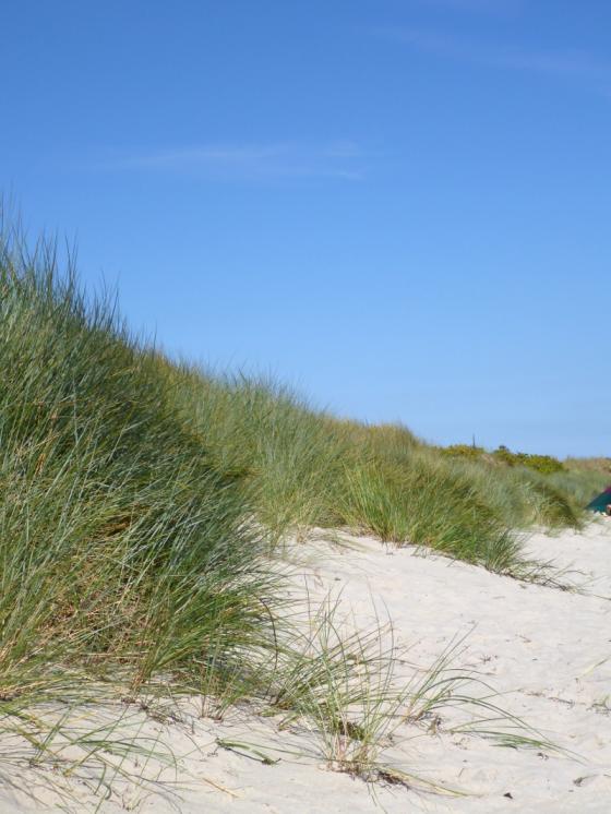 ostsee2014_duene3.jpg
