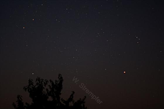 perseid_1.jpg