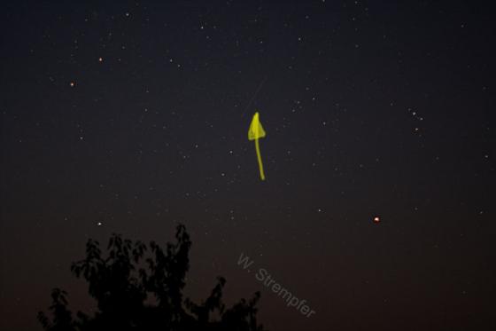 perseid_2.jpg
