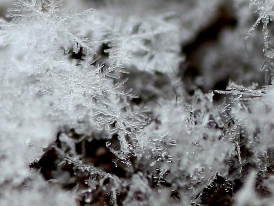 schneeflocken_dach_detail.jpg