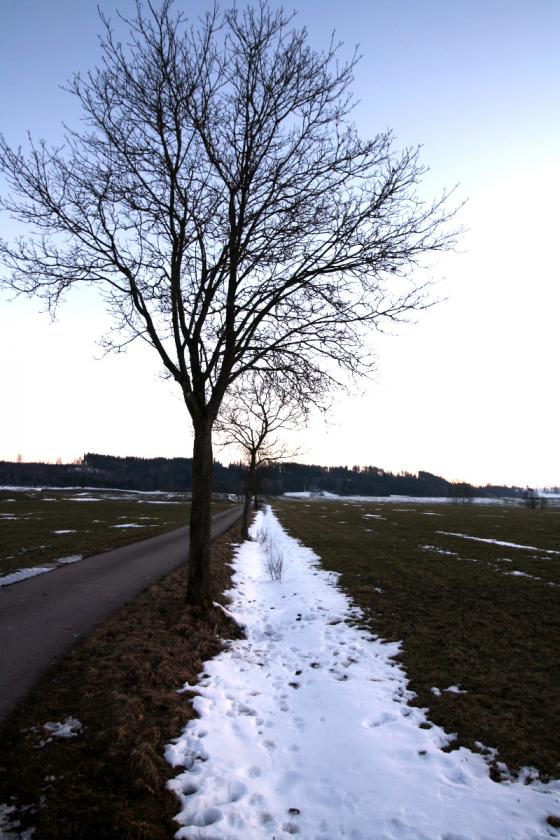 schneegraben.jpg