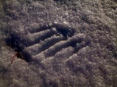 schneewanderung_20090214_3.jpg