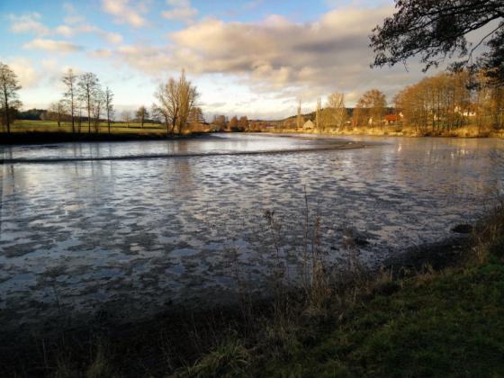 schoenweiher_20151221.jpg