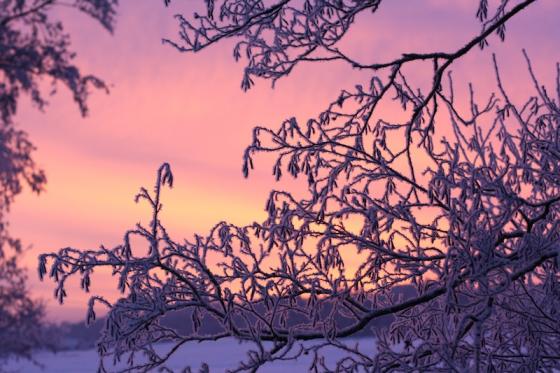 sonnenaufgang_20121207.jpg
