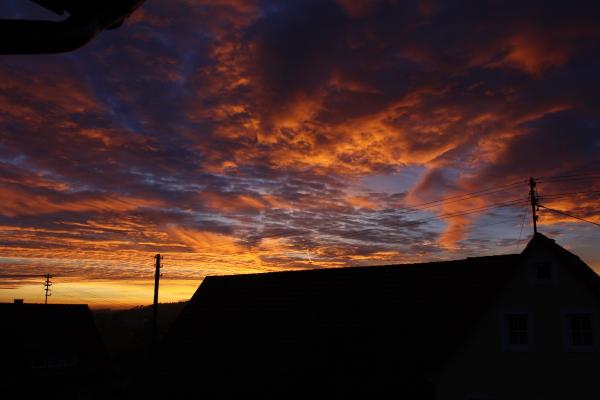 sonnenaufgang_20121229_2.jpg