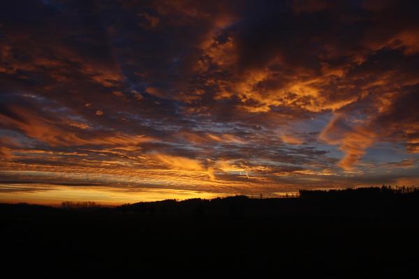 sonnenaufgang_20121229_3.jpg