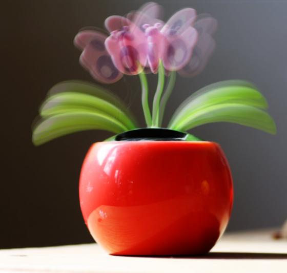 wackelblume.jpg