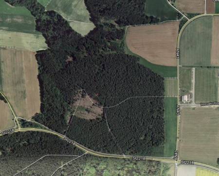 waldecker_wald.png