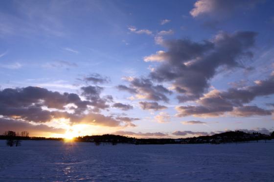 waldtann_weitwinkel_20150208.jpg