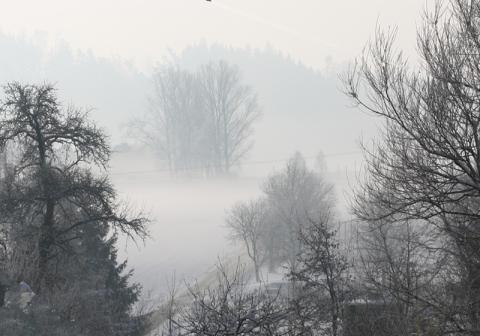 waldtanner_winterdunst.jpg