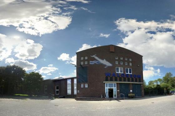 waloseum.jpg