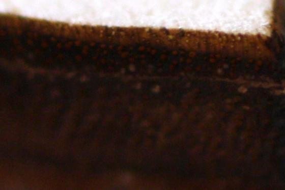 weihnachtsmakroraetsel_20121224.jpg