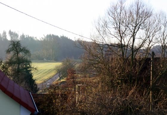 wetter_fuer_elefanten_keine_chance.jpg