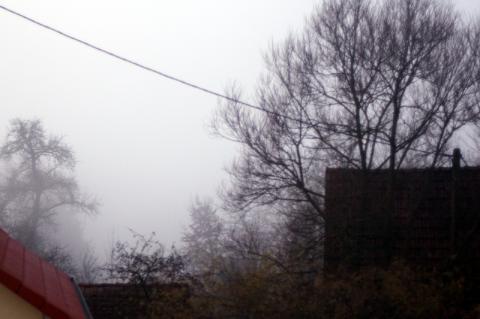 wetter_zum_elefanten_verstecken.jpg