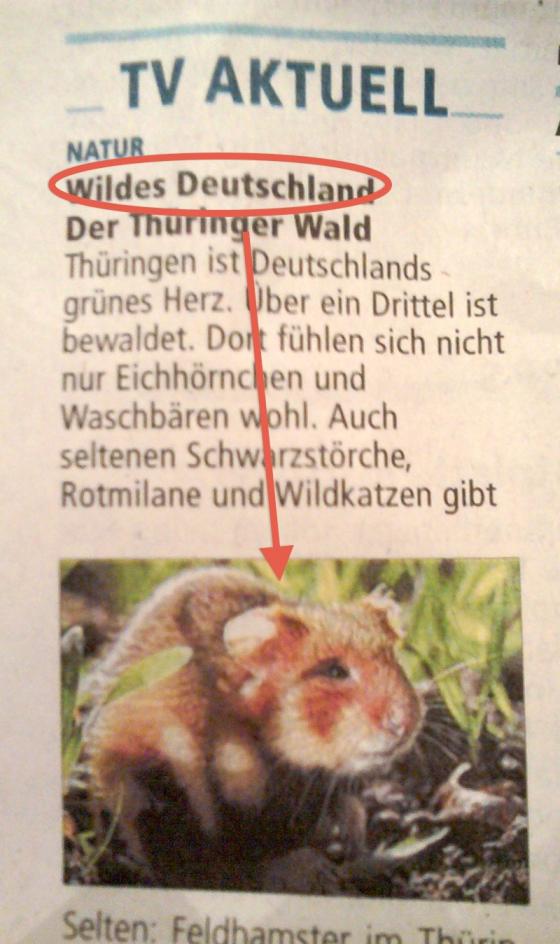 wildes_deutschland.jpg