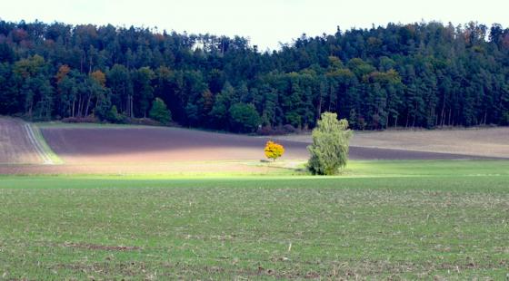 wolkenfenster_2012.jpg