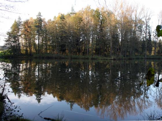 zauberwald_20141026_3.jpg