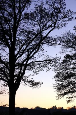 zauberwald_sonnenuntergang.jpg
