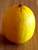 zitrone_20130414.png